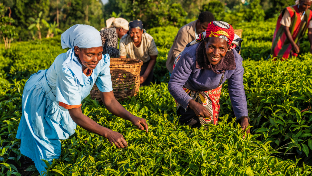 Celebrating Progress and Shaping the Future of Women's Health in Africa